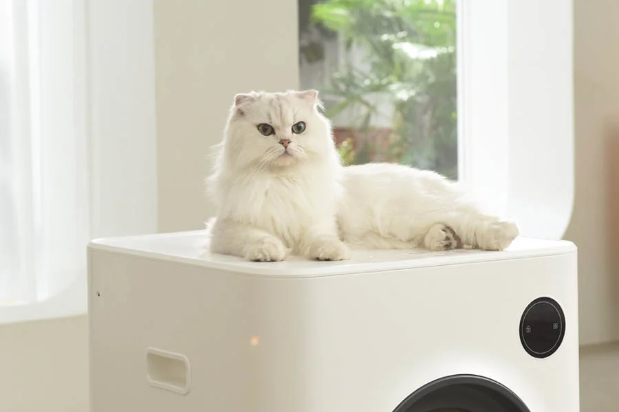 best litter boxes for large cats